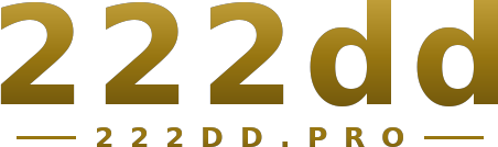 222dd logo